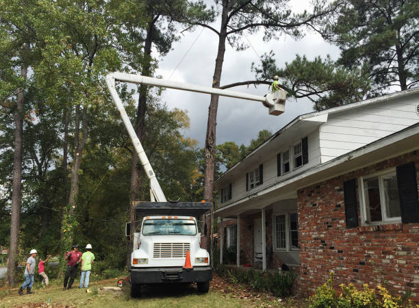 Best Hazardous Tree Removal  in Greenfields, PA